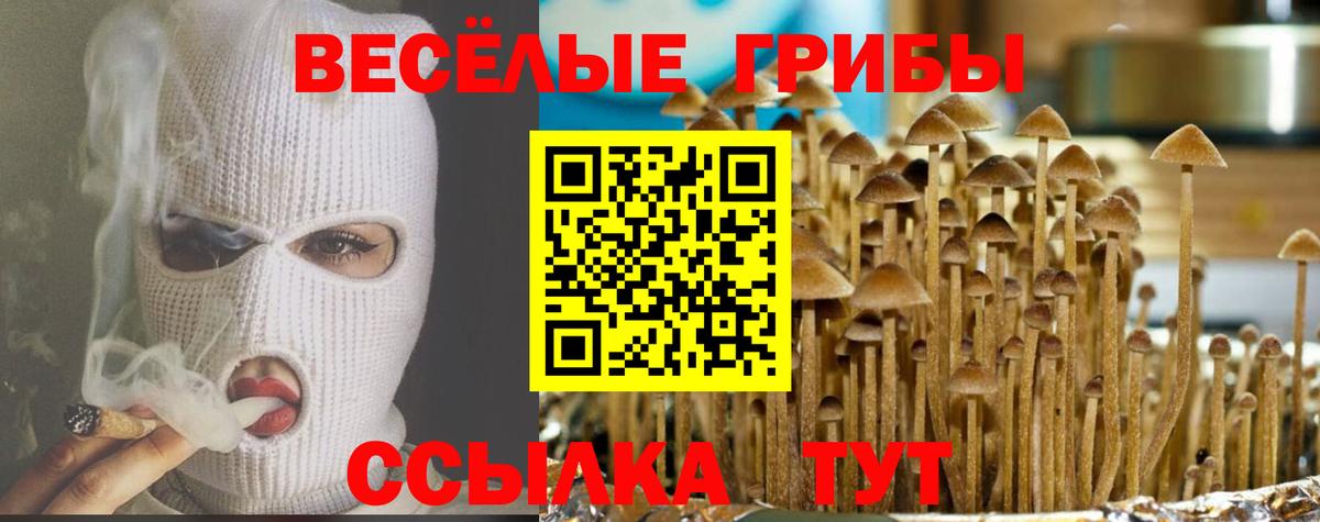 Псилоцибиновые грибы Psilocybine cubensis Екатеринбург